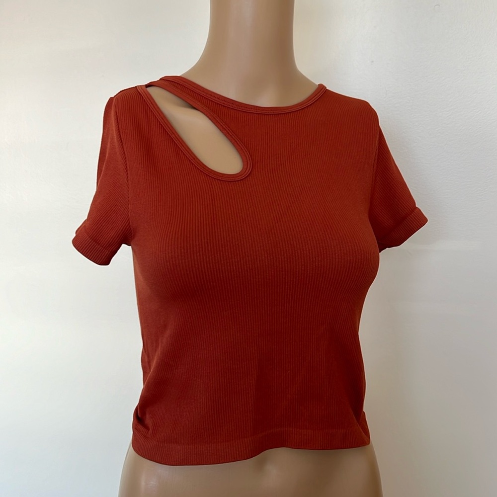 Terracotta color